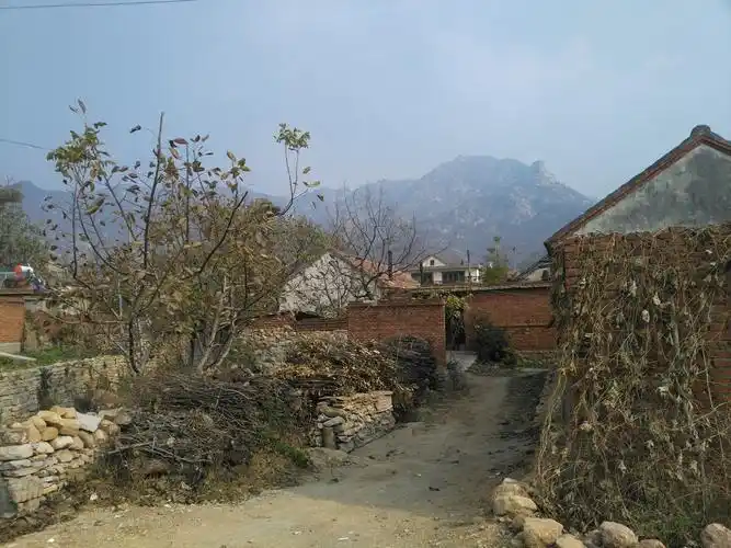 我们现在的农村.