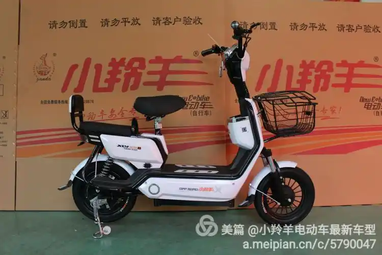 小羚羊电动车--z5