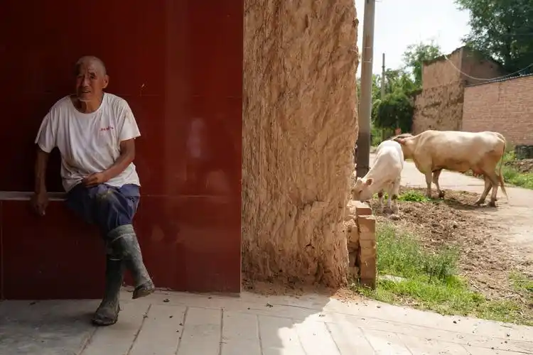 原创7旬农民大叔足不出村,5年成了百万富翁,看他做的啥营生