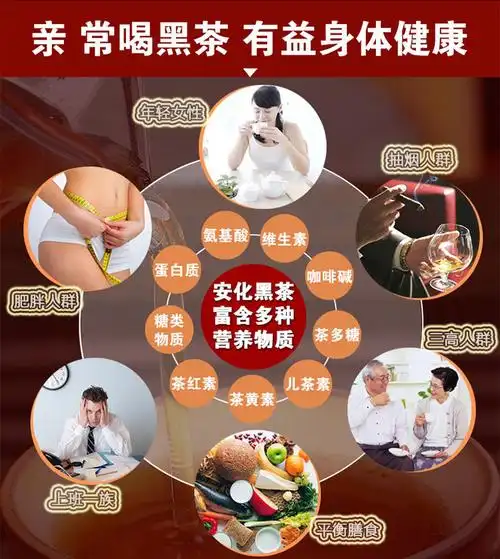 5折华莱健黑茶黑茶华莱健安化黑茶六种组合套餐百两千两黑砖荷香茯