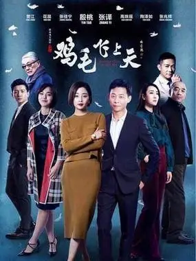 鸡毛飞上天dvd版