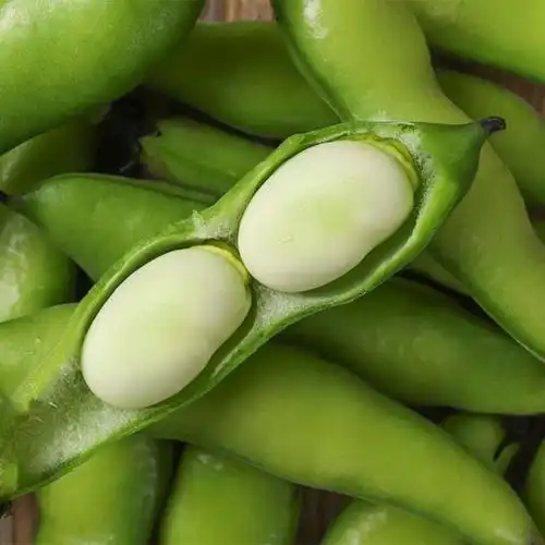 新鲜嫩蚕豆怎样钓鱼好『新鲜嫩蚕豆怎样钓鱼好吃』