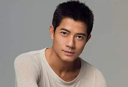 郭富城的个人简介如何?