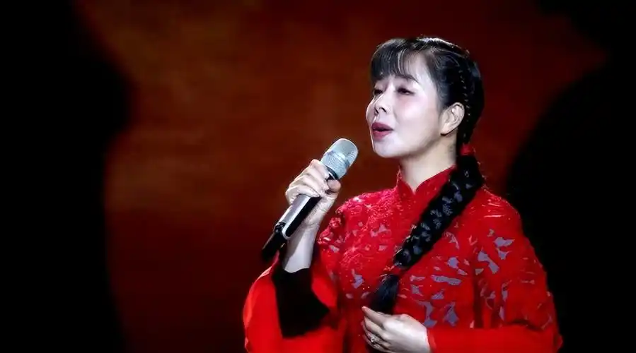 草根歌手王二妮身份被拆穿?原来一直在伪装,瞒了观众十几年