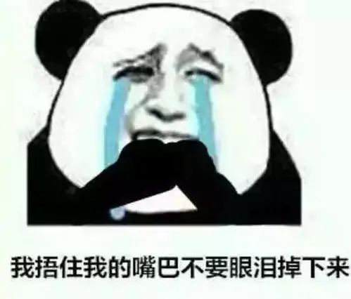 我捂住嘴巴不让眼泪流下来就有人问我了:球球今年不考证吗?