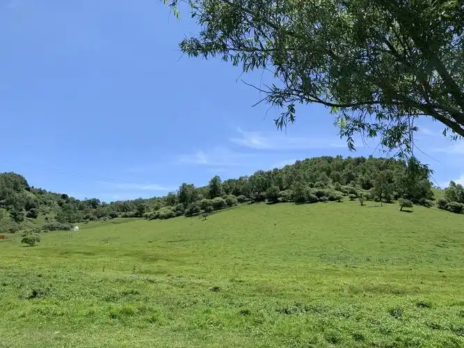 y2019暑假周末游关山草原