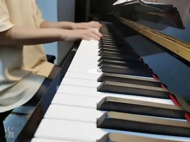 谁明浪子心钢琴曲