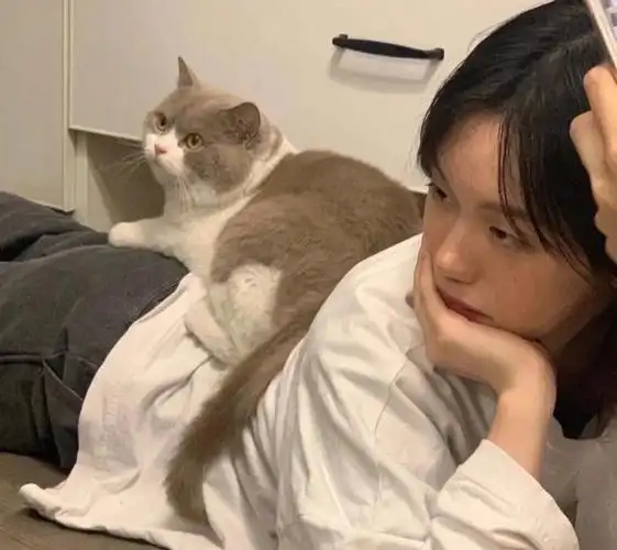 男朋友不是人系列情头