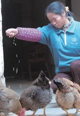 好想和你在一起——一个普通打工人家的生活(图)