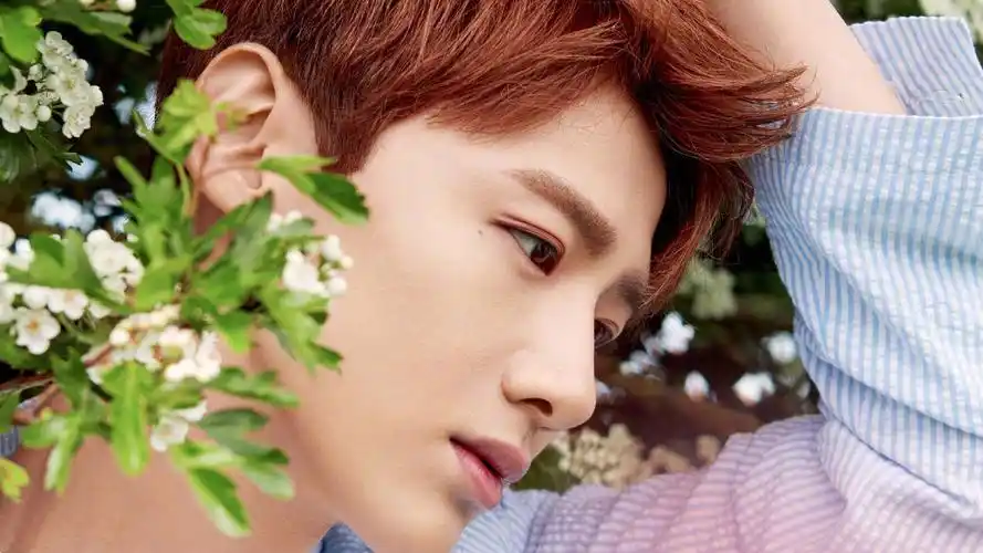 明星白敬亭明星风尚壁纸