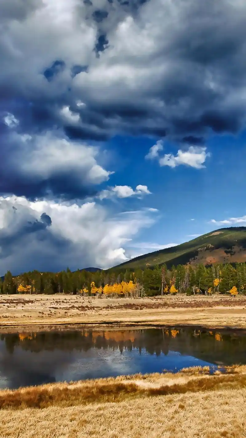 1080_1921竖版 竖屏