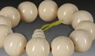 什么属相不能佩戴象牙 真品虎牙多少钱一颗