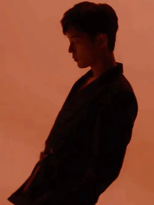 肖战剪影好看的人连影子也是会让人心动的