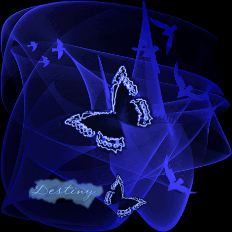 蝴蝶butterflyanimal梦幻gif动图_动态图_表情包下载_soogif