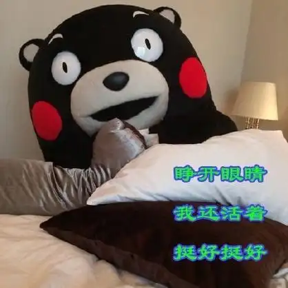 睁开眼睛我还活着挺好挺好 - 佛系青年的日常(熊本熊版)_佛系_熊本熊