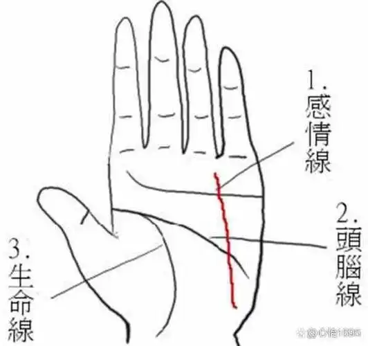 感情线代表着感情态度和爰情进展.