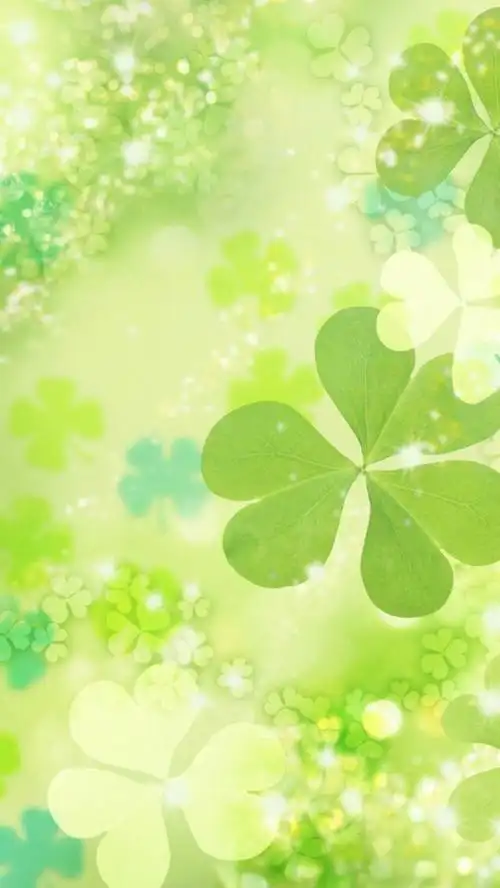 四叶草 壁纸