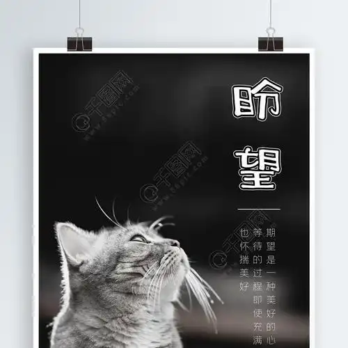 盼望期盼期望希望等待猫咪黑白怀旧海报