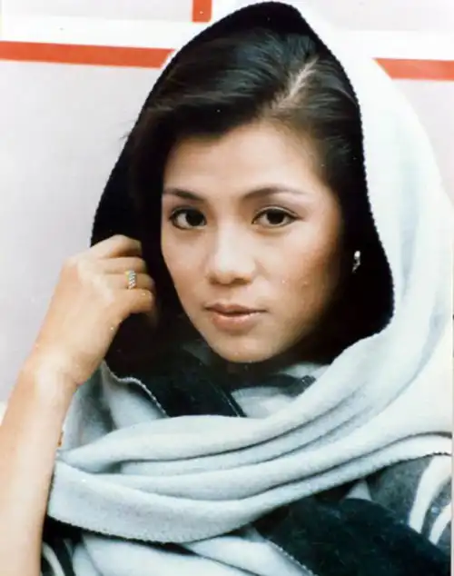 黄日华在翁美玲葬礼泣不成声 揭翁美玲死亡真相