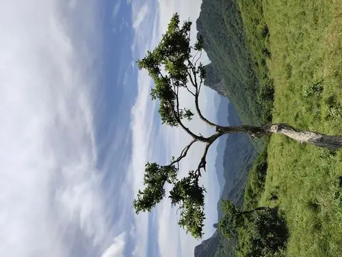 东坪沟登高山草甸 - 简书