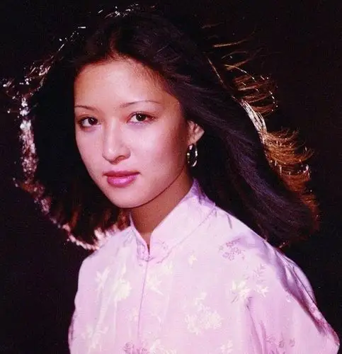 胡因梦,1953年出生于台湾台中市,祖籍辽宁沈阳.