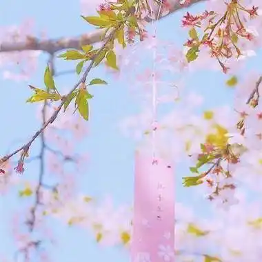 自带好运头像给女人带来好运的头像2022