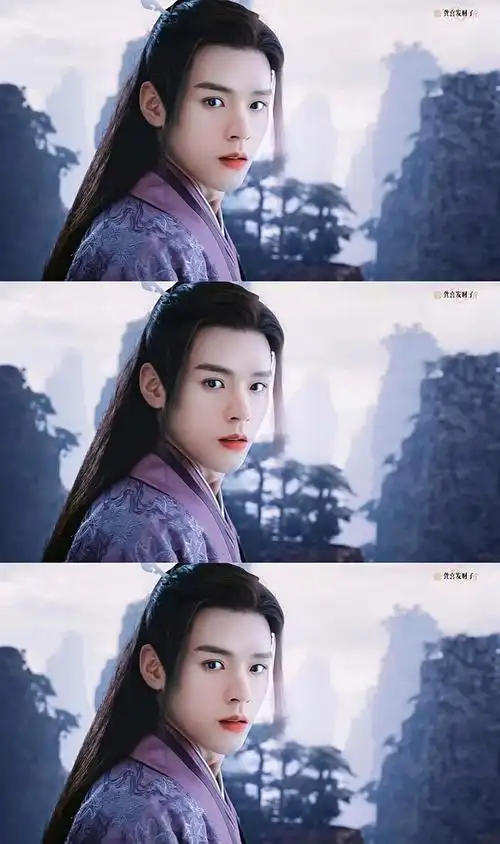 请问有紫衣温客行的美图吗?