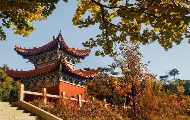 唐山周末乐享遵化禅林寺古银杏风景区