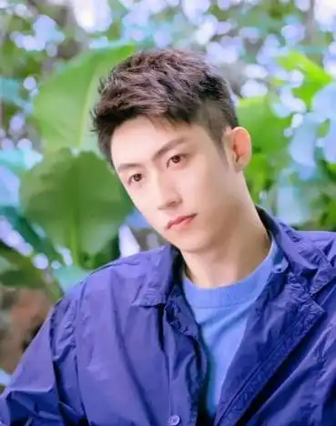 最新:黄景瑜接受联合国新闻专访,向全世界证明了中国实力