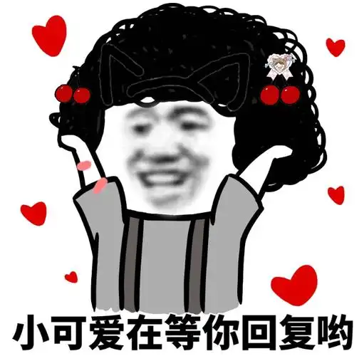 小可爱在等你的回复哟