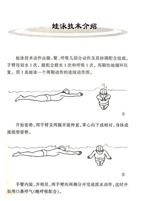 蛙泳教程游泳知识篇关于蛙泳