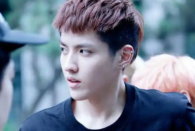 诱骗年轻女性发生关系,因此锒铛入狱 ,一夜之间,吴亦凡身败名裂