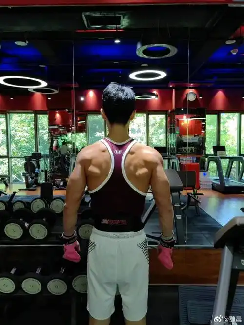 魏晨背部肌肉线条好绝