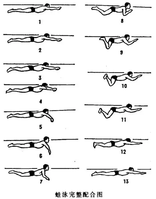 《亚运广州》 1987年2月,国际游联再次修订规则:"允许头部有下潜动作