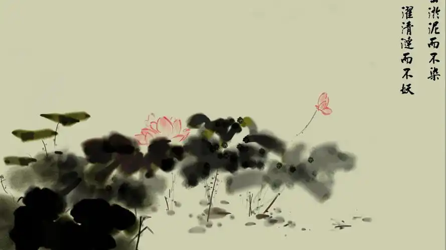 好看的简约中国风手绘素描荷花图片桌面壁纸高清(2)