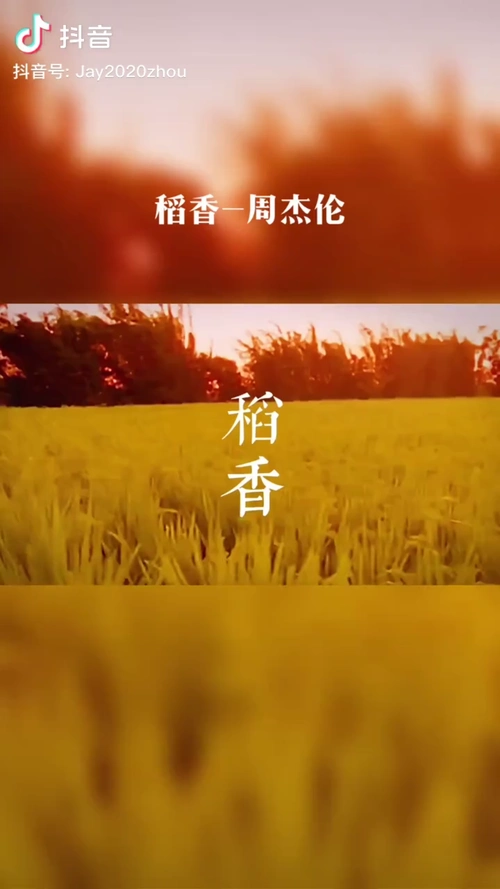 周杰伦稻香