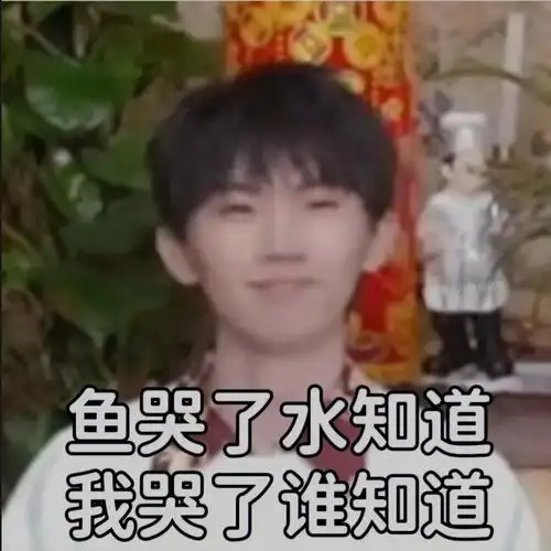 马嘉祺表情包06