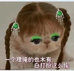 一个理俺的也木有,白打扮这么俊了_木有_打扮_这么_一个表情