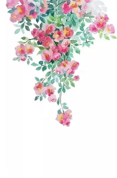 手绘 插画 二次元 动漫 复古 清新 唯美 森系 文艺 治愈 彩铅 水墨