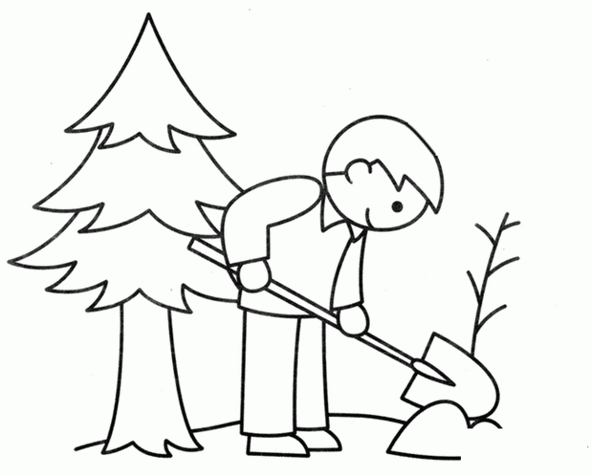 笔画图片小朋友植树简笔画图解教程 关于植树的资料 植树指种植树木