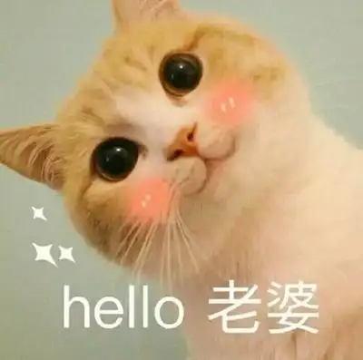 hello 老婆 猫咪 红脸蛋 可爱 讯飞