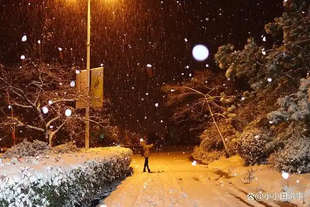 初冬夜,寂寥的夜晚,我孤倚窗边,凝视着窗外的寒冷世界.
