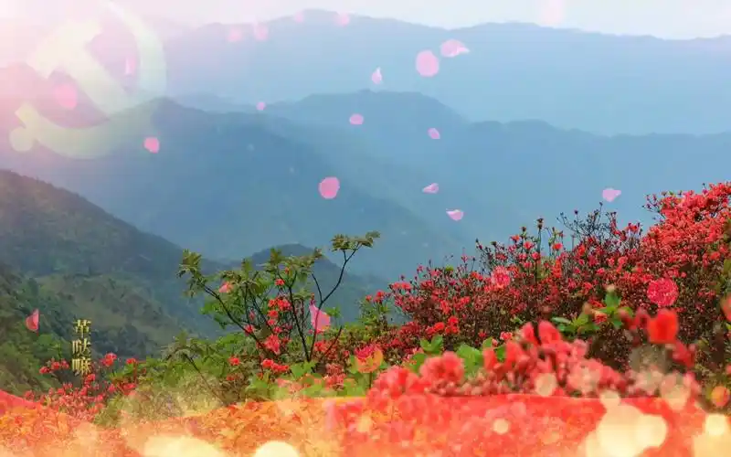 映山红红歌演唱诗歌朗诵演讲晚会大合唱舞台背景视频