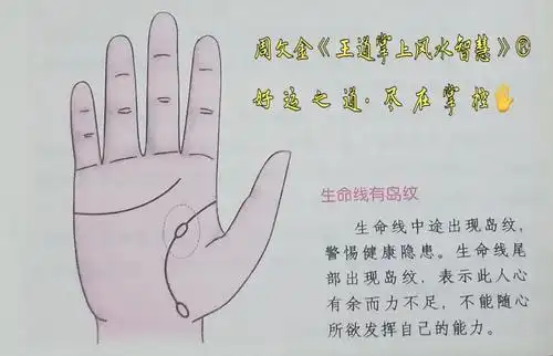 生命线出现岛纹会有问题吗生命线起始端有岛纹