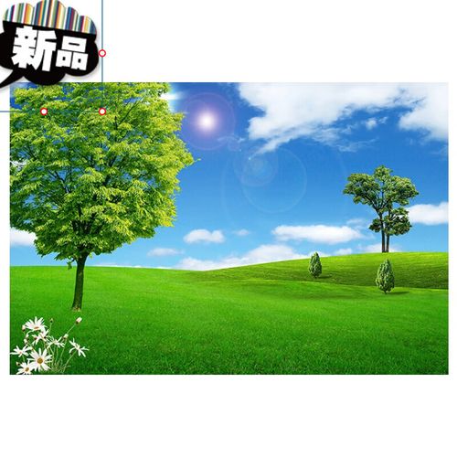 草地装饰画客厅儿童房墙贴壁画大草原自粘定制绿色树木画 蓝天白云 高