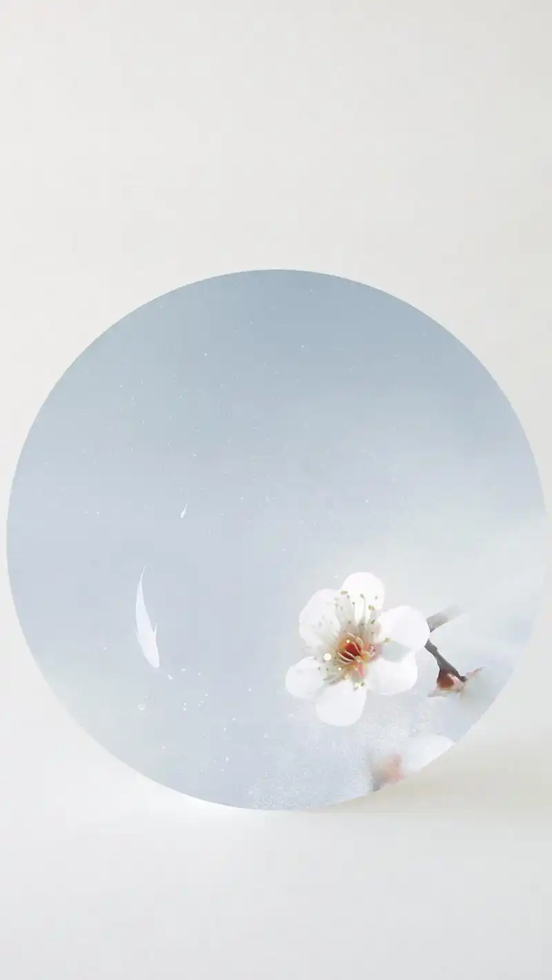 【v粉壁纸】淡雅中国风