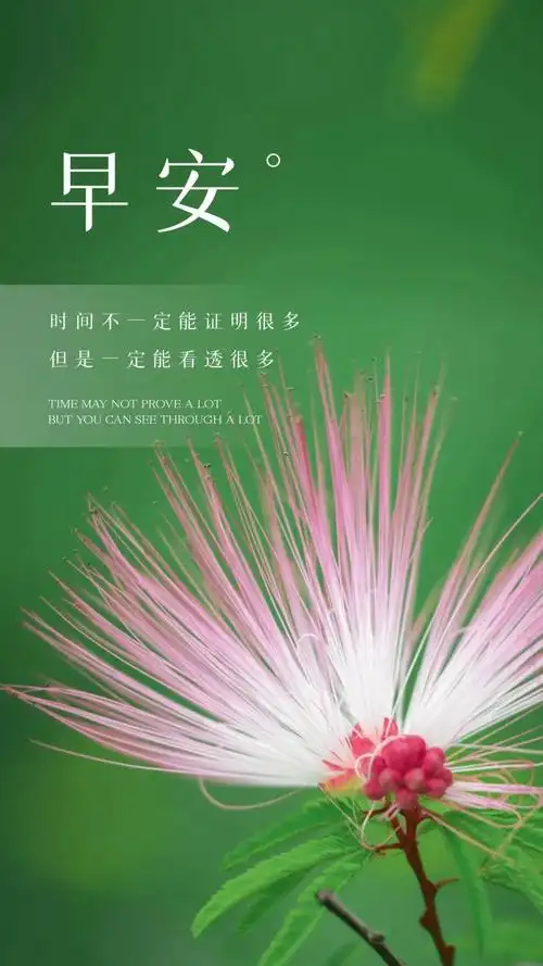 早安阳光正能量文案图片 | 人生如书,应该多一些精彩的细节,少一些