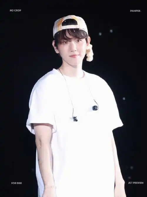 伯贤亚巡演唱会  lonsdaleite> in 雅加达 预览 甜甜滴!