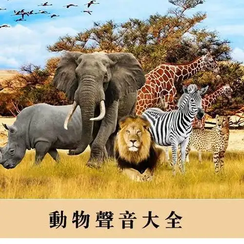 动物叫声音效大全