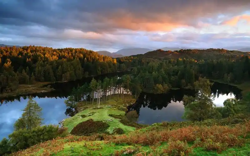 宁静的夏天简单个性唯美